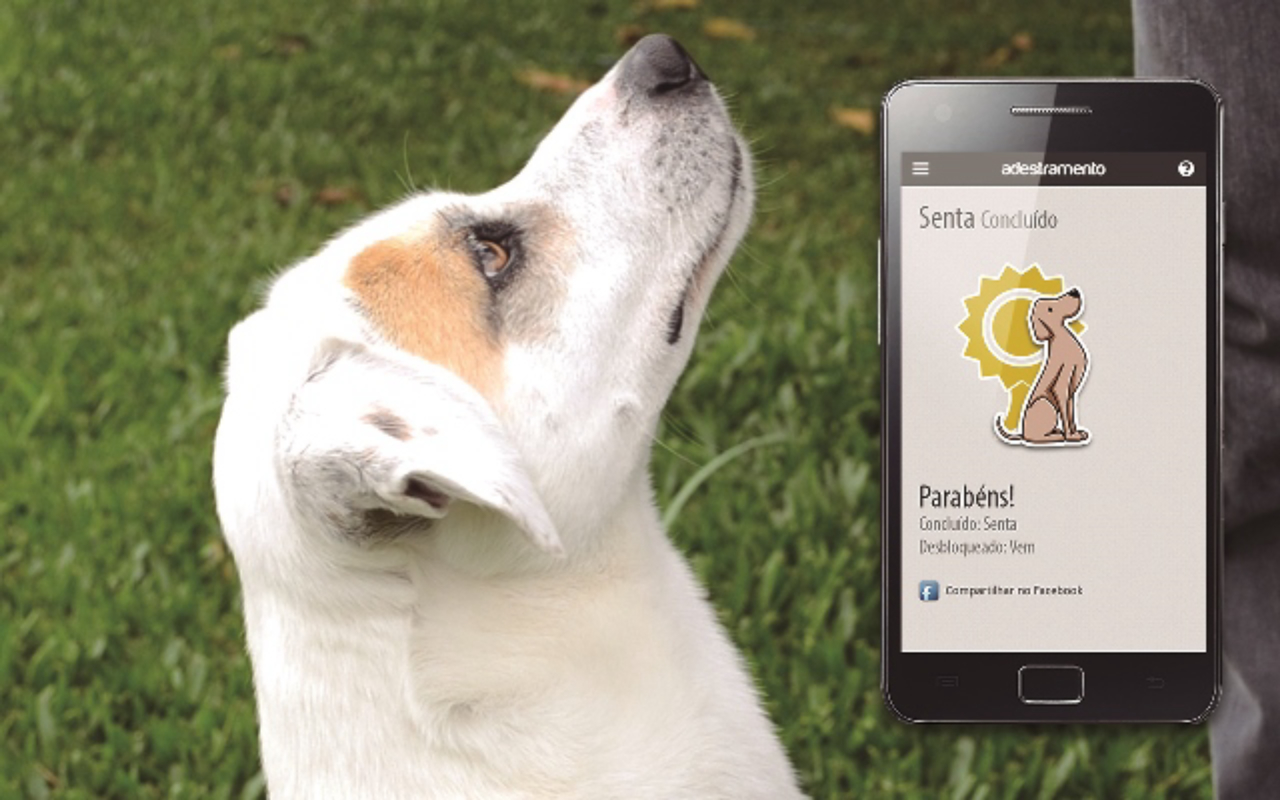 Saúde e Organização: Controle Total na Palma da Mão