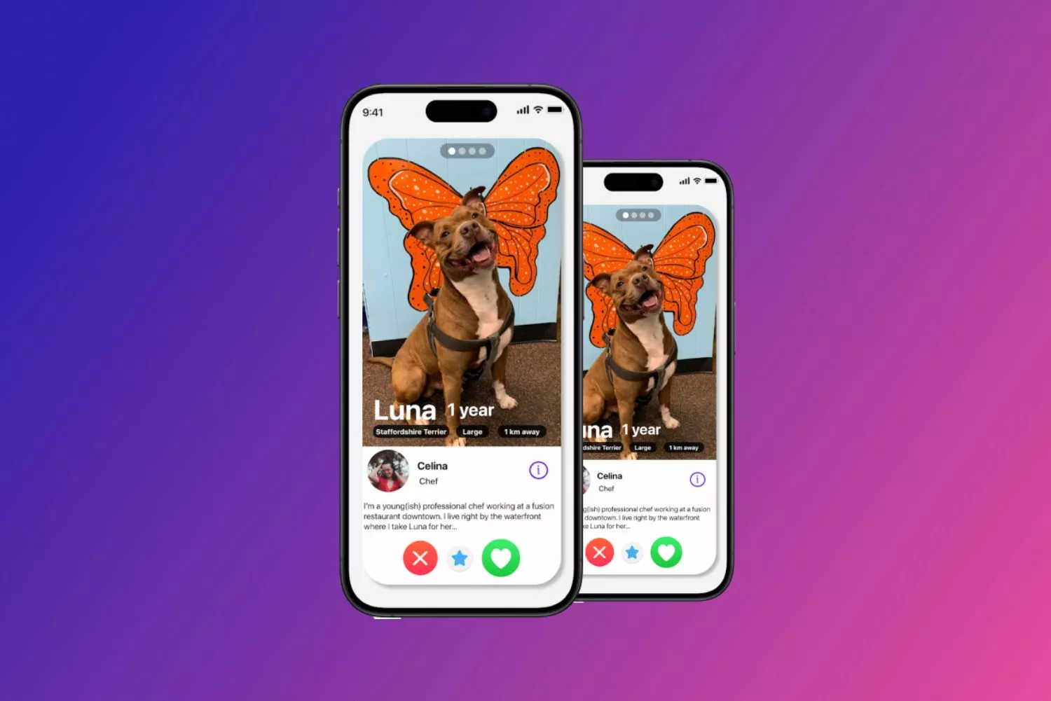 Adestramento e Comportamento: Transforme Seu Cão