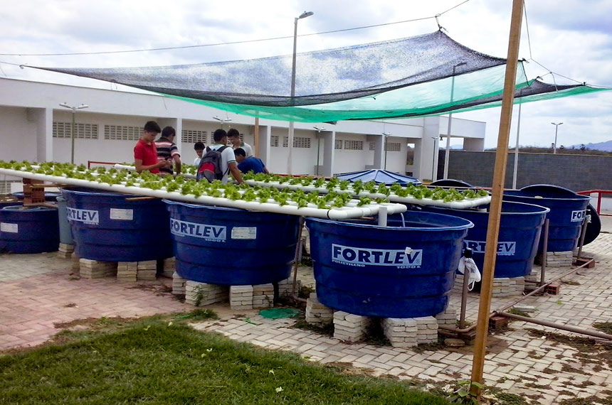 Manutenção Essencial para um Sistema Saudável - inspiração 2