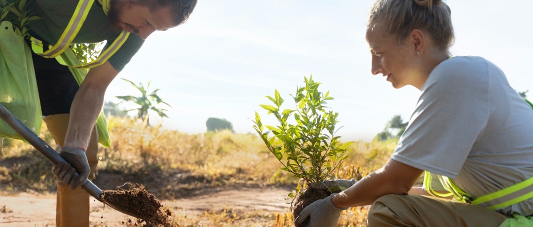 O Que é Associativismo Rural e Por Que Ele é Essencial? - inspiração 1