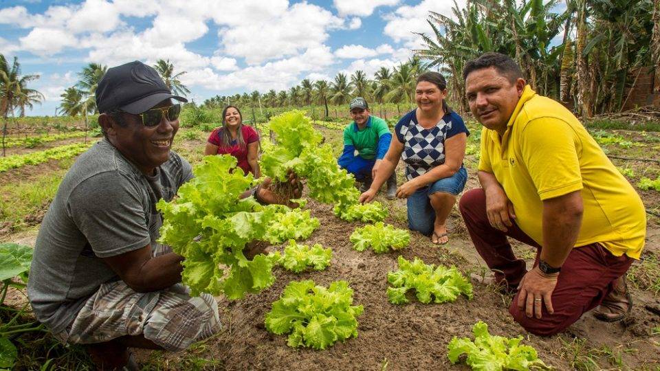 Financiamento Coletivo: Alternativas para Captação de Recursos - inspiração 2