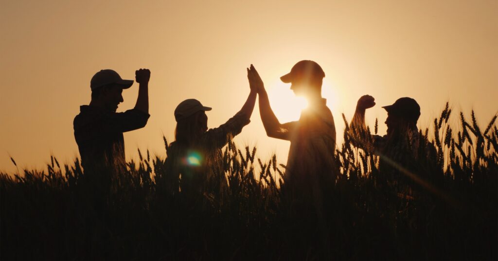 Benefícios Tangíveis: Aumento de Renda e Melhora na Qualidade de Vida - inspiração 1