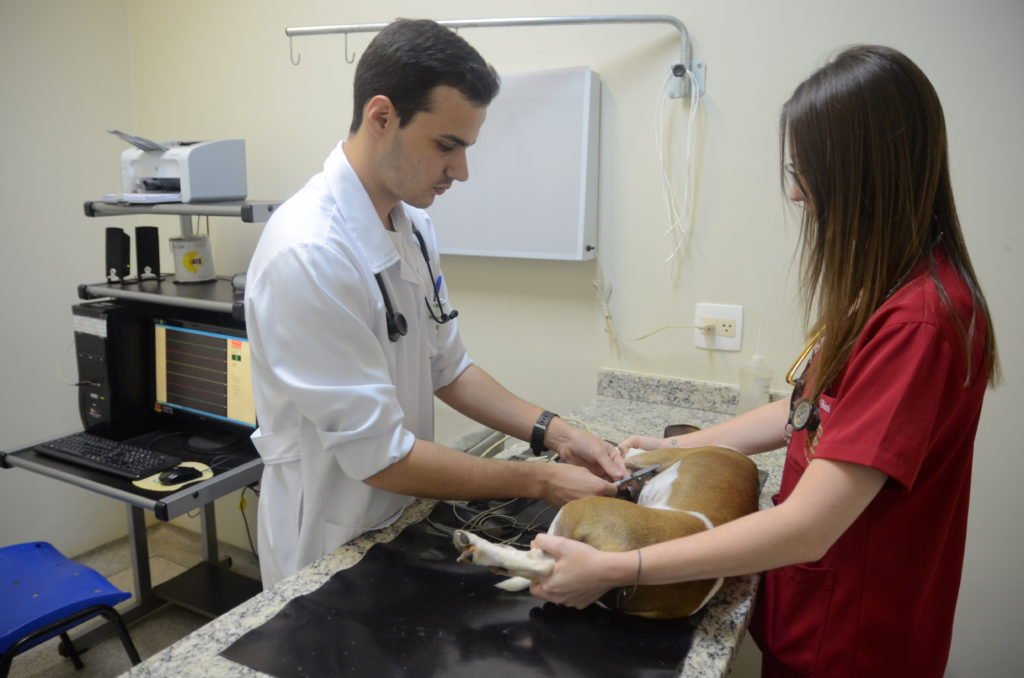 Rotinas de Higiene e Organização: Mantendo o ambiente seguro e limpo - inspiração 1