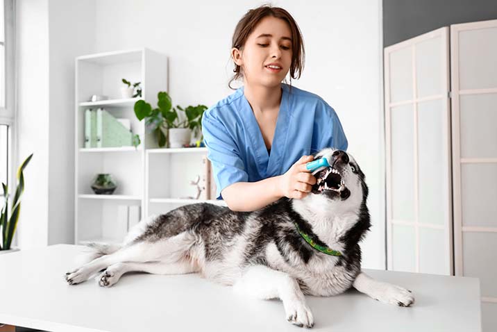 Gerenciamento de Medicamentos: Armazenamento e preparo corretos - inspiração 1