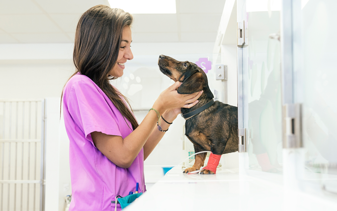 Gerenciamento de Medicamentos: Armazenamento e preparo corretos - inspiração 2