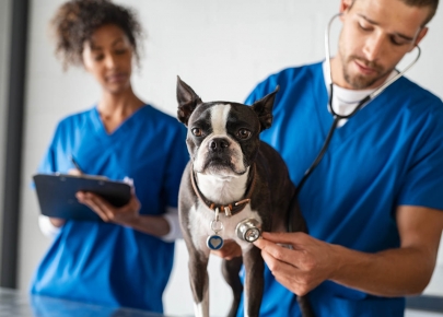 Apoio em Procedimentos e Cirurgias: Preparação e assistência - inspiração 1