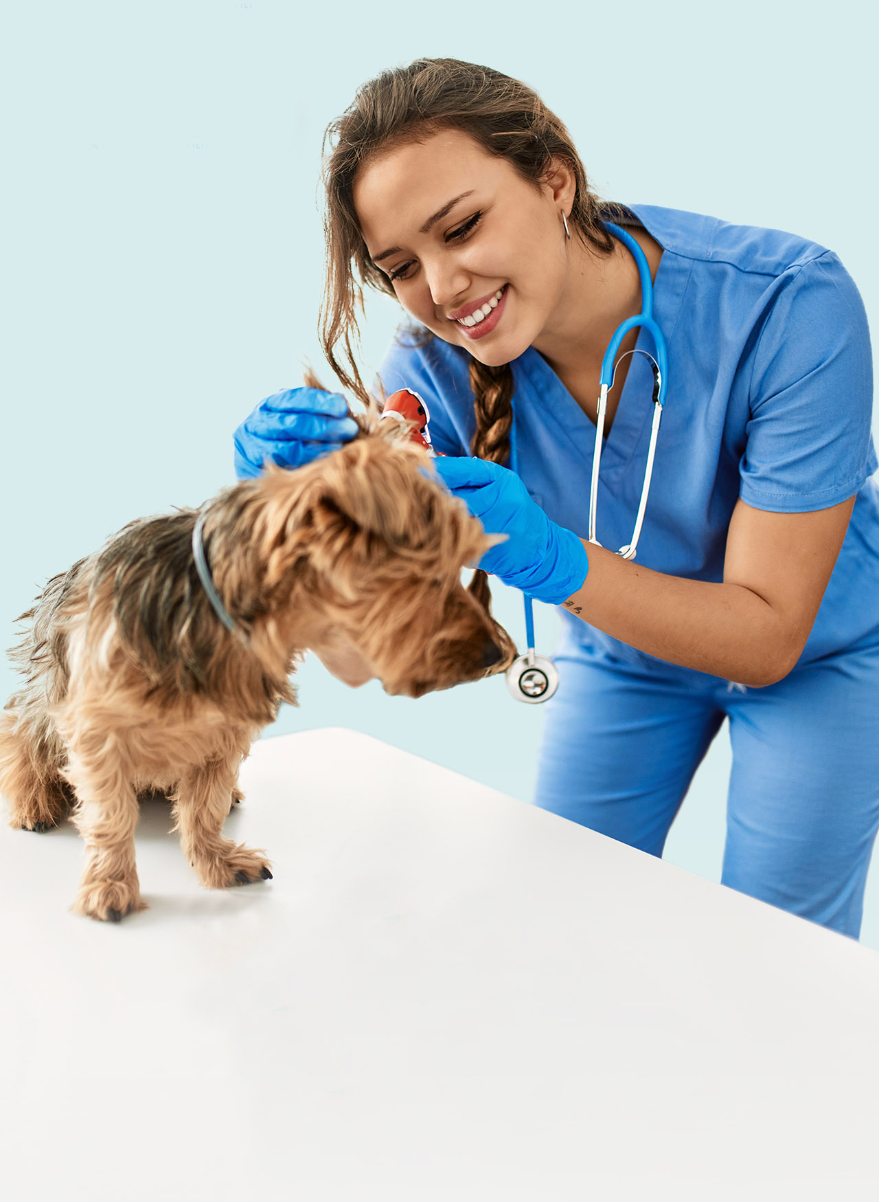 Registros e Documentação: Mantendo o histórico do paciente atualizado - inspiração 2