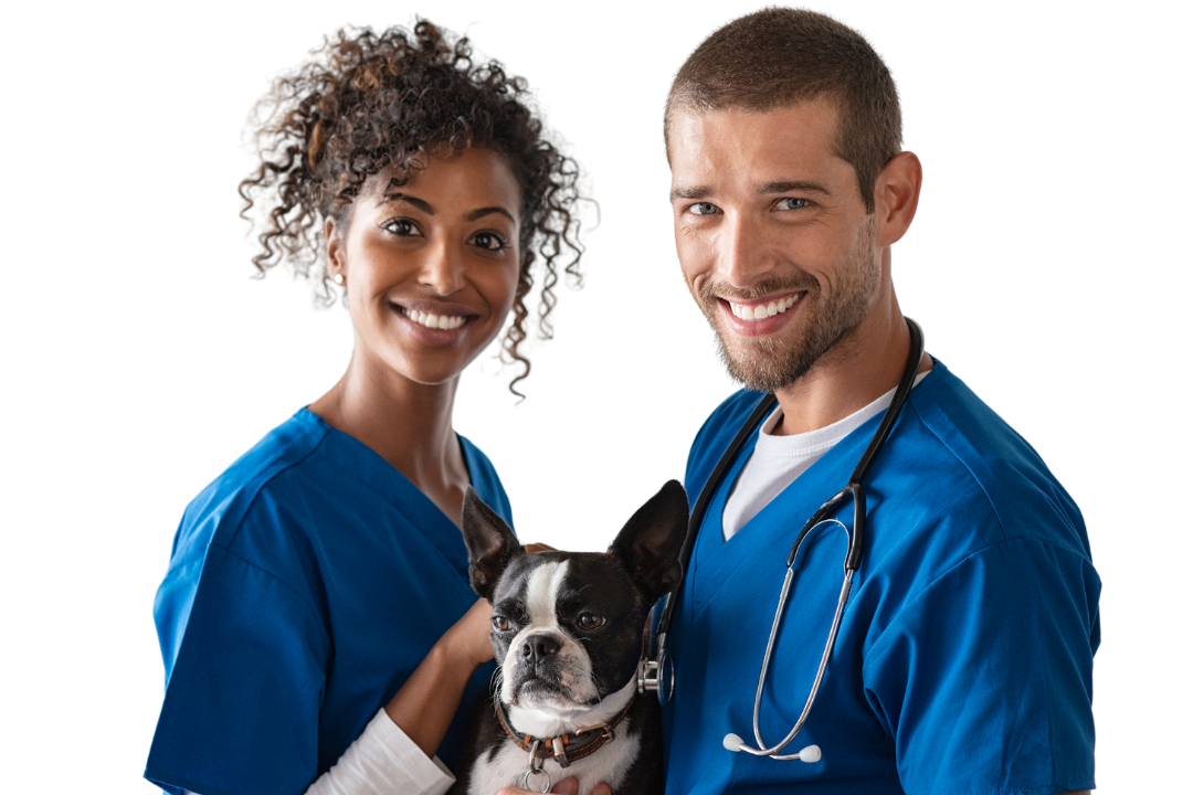 Manuseio e Contenção Segura: Priorizando a segurança de todos - inspiração 2