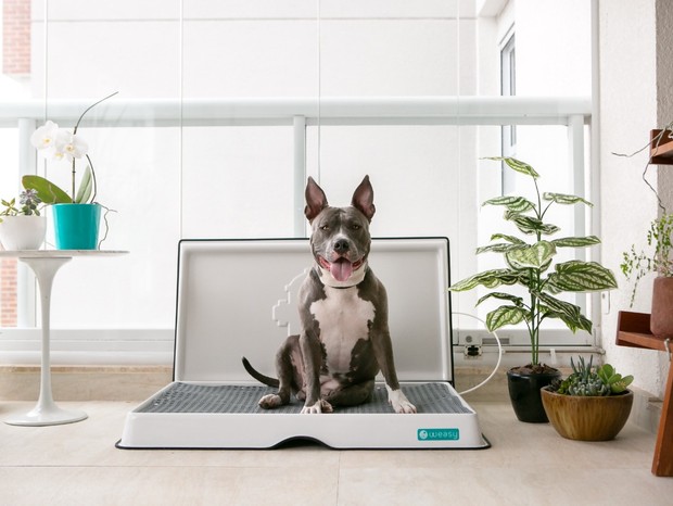 Sensores Que Detectam a Necessidade do Seu Pet - inspiração 2