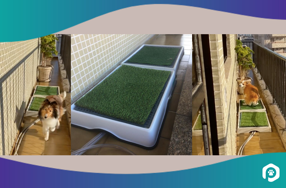 Controle de Odores: O Ambiente Limpo e Fresco - inspiração 1