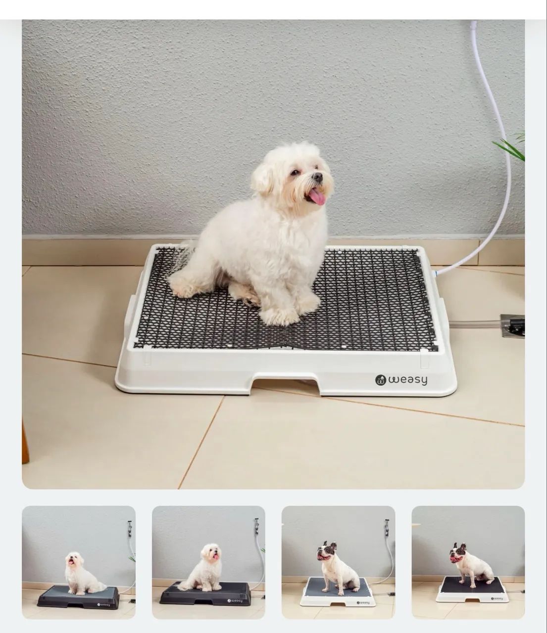 Controle de Odores: O Ambiente Limpo e Fresco - inspiração 2