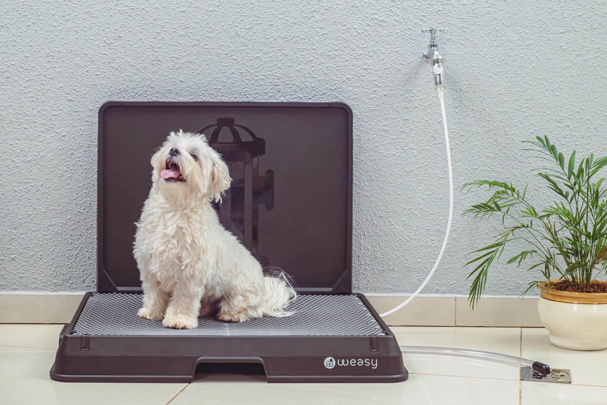 Acompanhamento de Saúde e Hábitos Pelo Aplicativo - inspiração 2