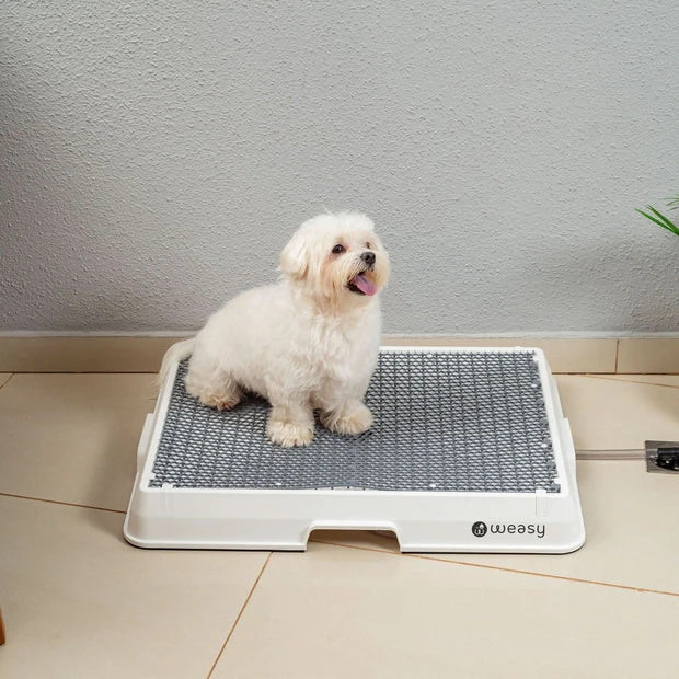 Ajustes de Temperatura e Ventilação Personalizados - inspiração 1