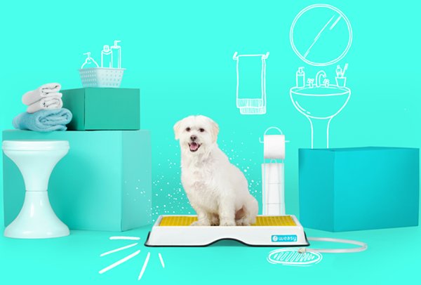 Segurança Integrada Para Evitar Acidentes - inspiração 1