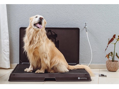 Segurança Integrada Para Evitar Acidentes - inspiração 2