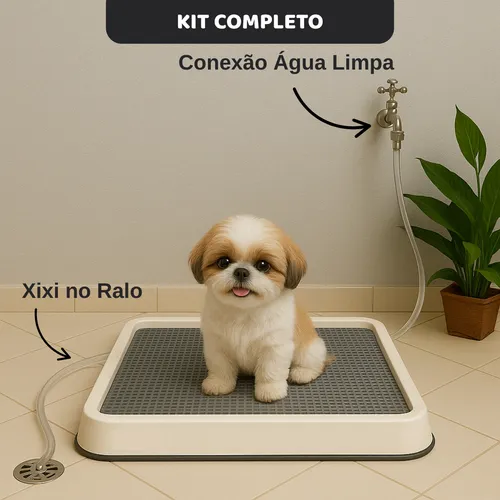 O Conceito de Autonomia Para o Pet - inspiração 2