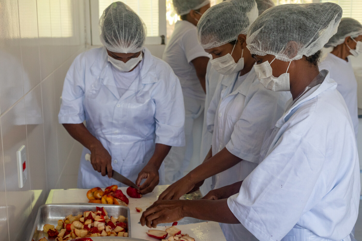 Desidratação Criativa: Frutas Secas e Ervas Aromáticas Caseiras - inspiração 1