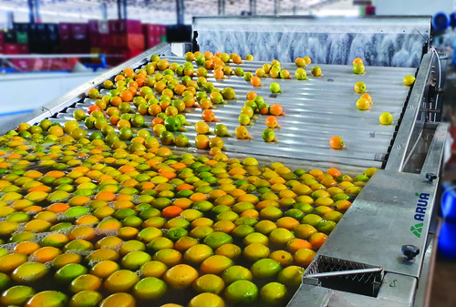 Evitando Desperdício: Reaproveitando Partes Comuns dos Alimentos - inspiração 2