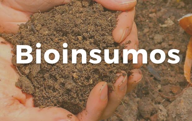 Bioestimulantes: Impulsionando o Crescimento e a Resiliência - inspiração 1