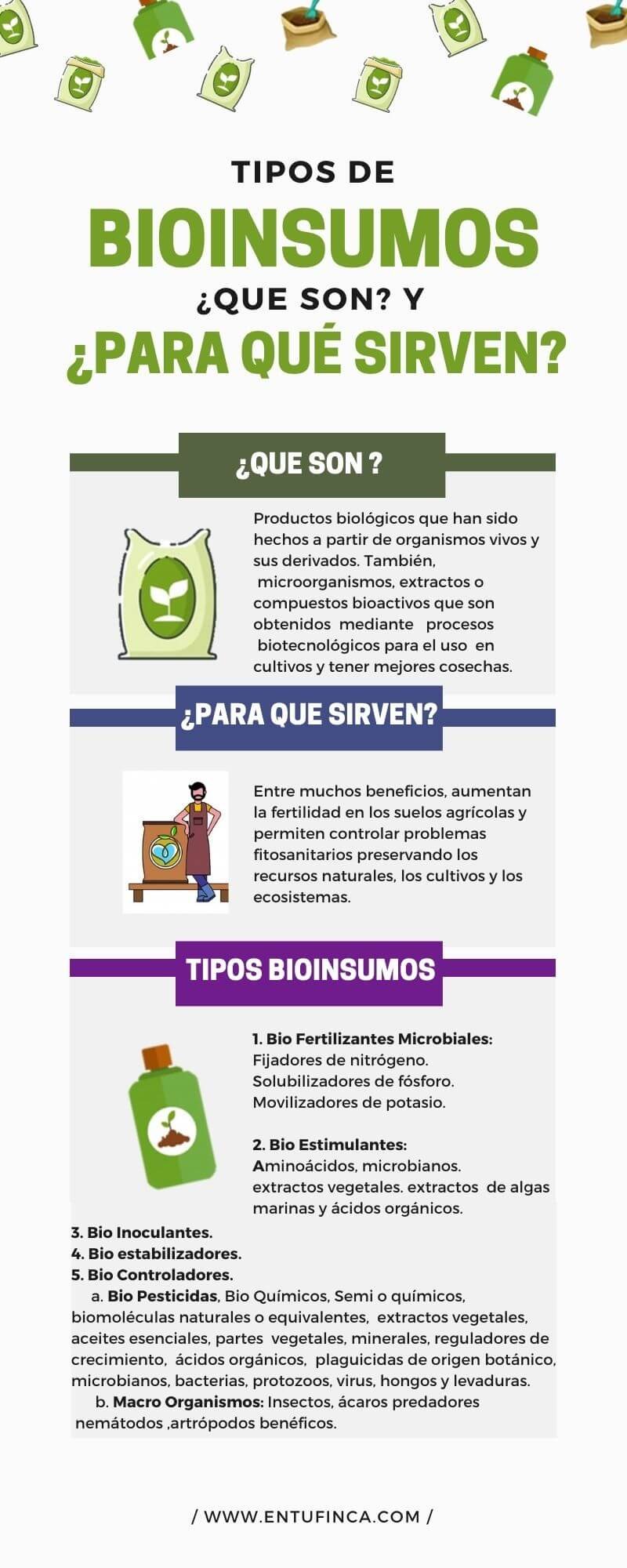 Bioestimulantes: Impulsionando o Crescimento e a Resiliência - inspiração 2