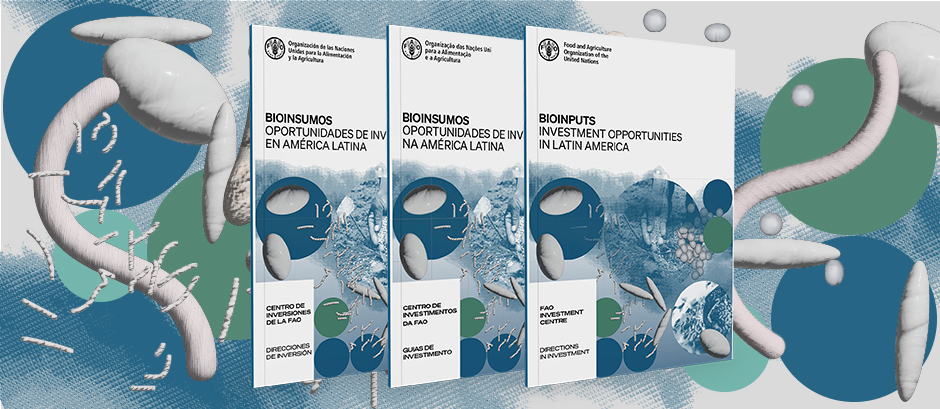 Sustentabilidade em Foco: O Papel dos Bioinsumos - inspiração 1