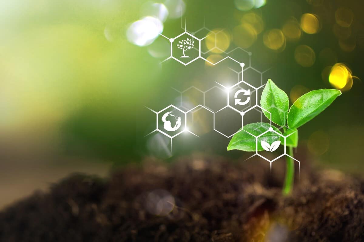 Onde Encontrar Bioinsumos de Qualidade - inspiração 2