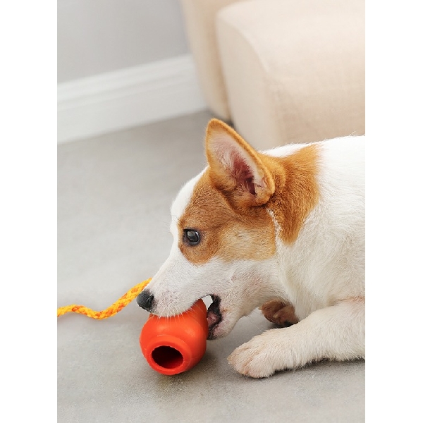 Erros Comuns ao Usar Brinquedos Recheáveis (e Como Evitá-los) - inspiração 2