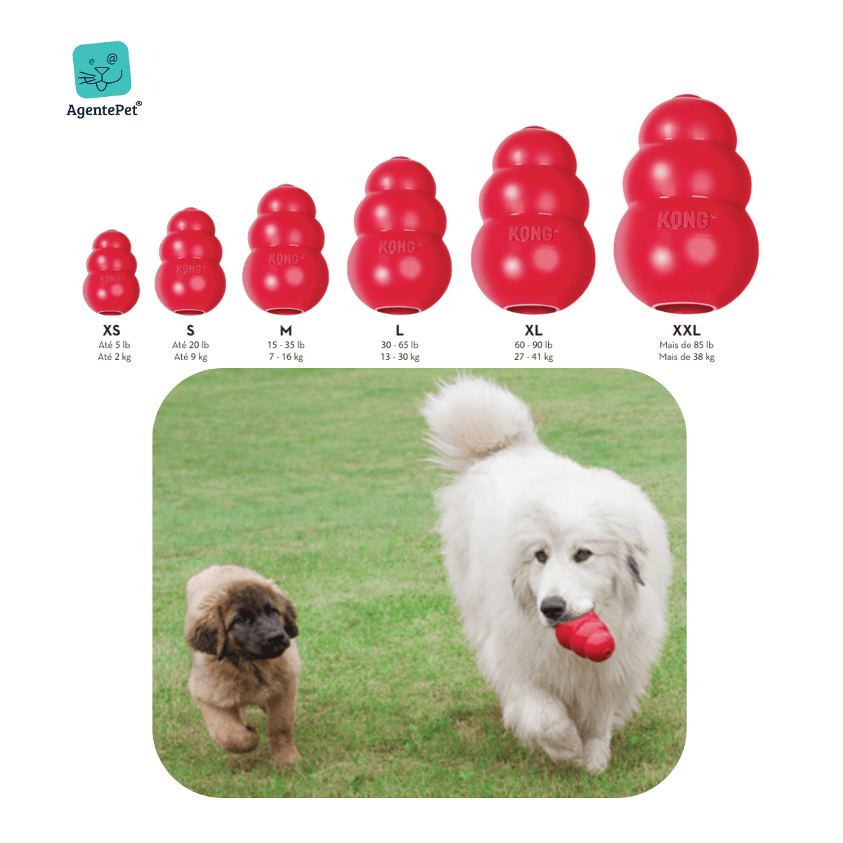 Brinquedos Recheáveis: Aliados no Combate ao Tédio e Ansiedade - inspiração 2