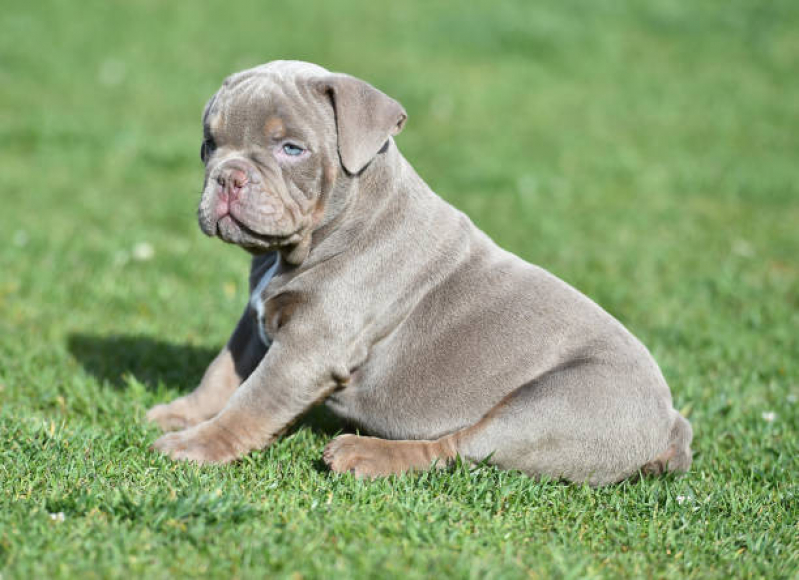 Cuidados Essenciais: Saúde, Higiene e Bem-Estar - inspiração 2