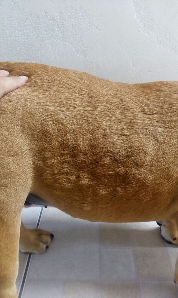 Quando Buscar Ajuda Urgente: Sinais de Alerta Vermelho - inspiração 2