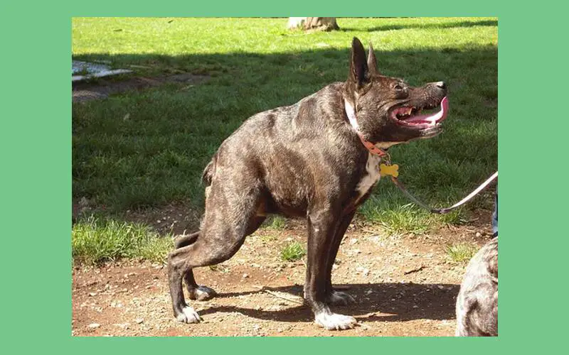 Considerações Legais e Éticas: Criando com responsabilidade - inspiração 1