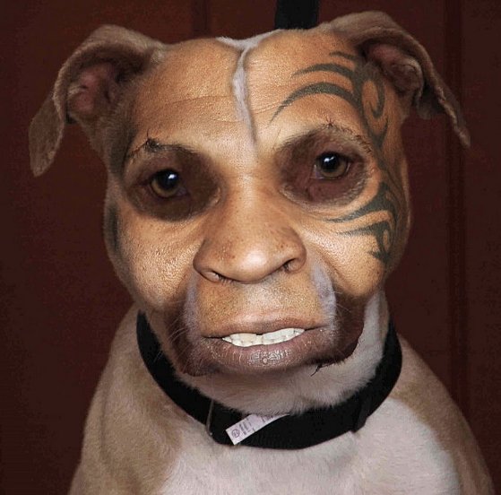 Identificando Sinais de Doença: Fique atento a mudanças - inspiração 2