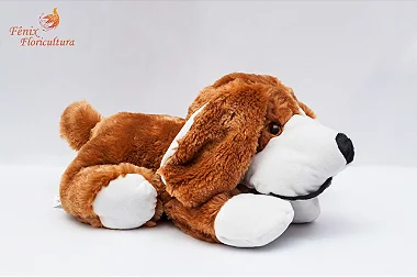 Colecionismo de Pelúcias: Um Hobby Cheio de Nostalgia e Alegria - inspiração 2