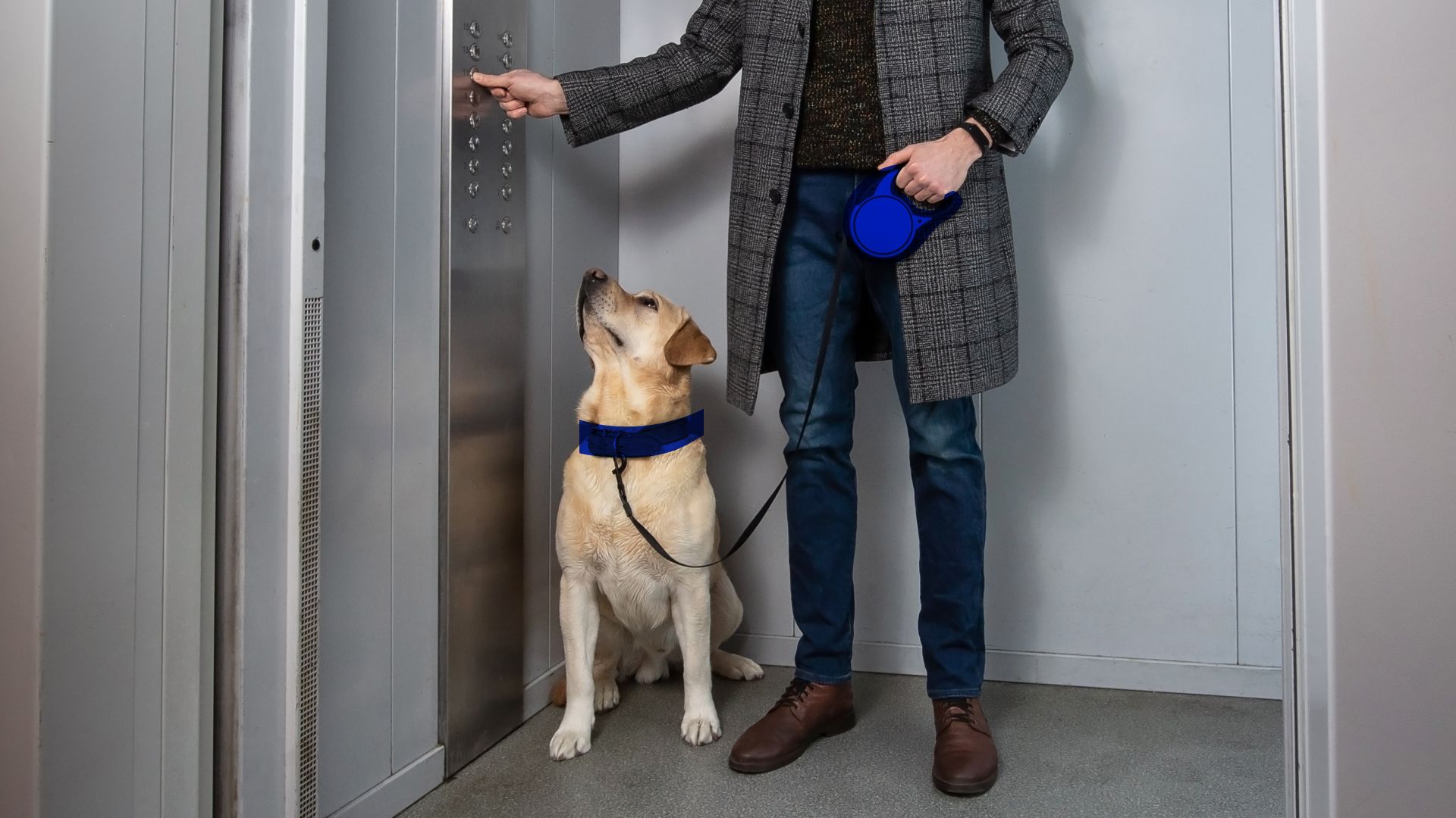 A Convenção e o Regimento Interno: Seus Principais Aliados - inspiração 1