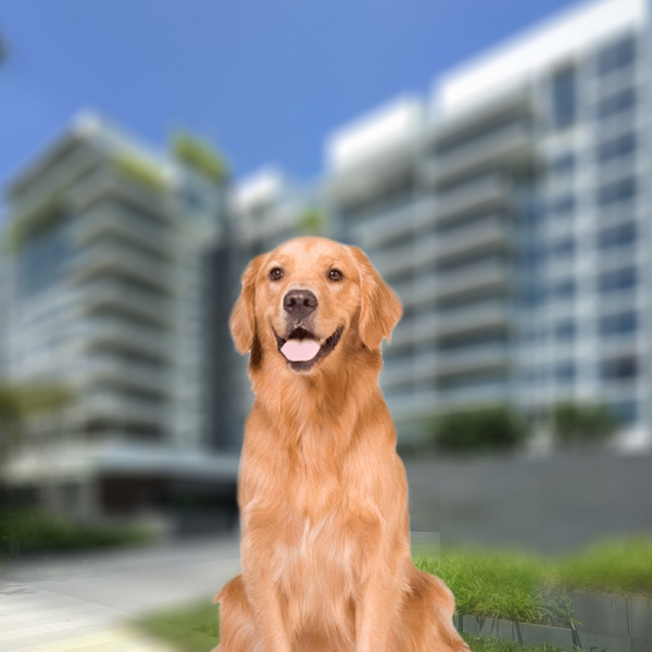 O Papel do Síndico: Um Mediador Essencial para a Boa Convivência - inspiração 1