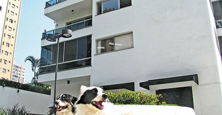 O Que Fazer se Surgir um Conflito? Estratégias para Resolver Divergências - inspiração 2