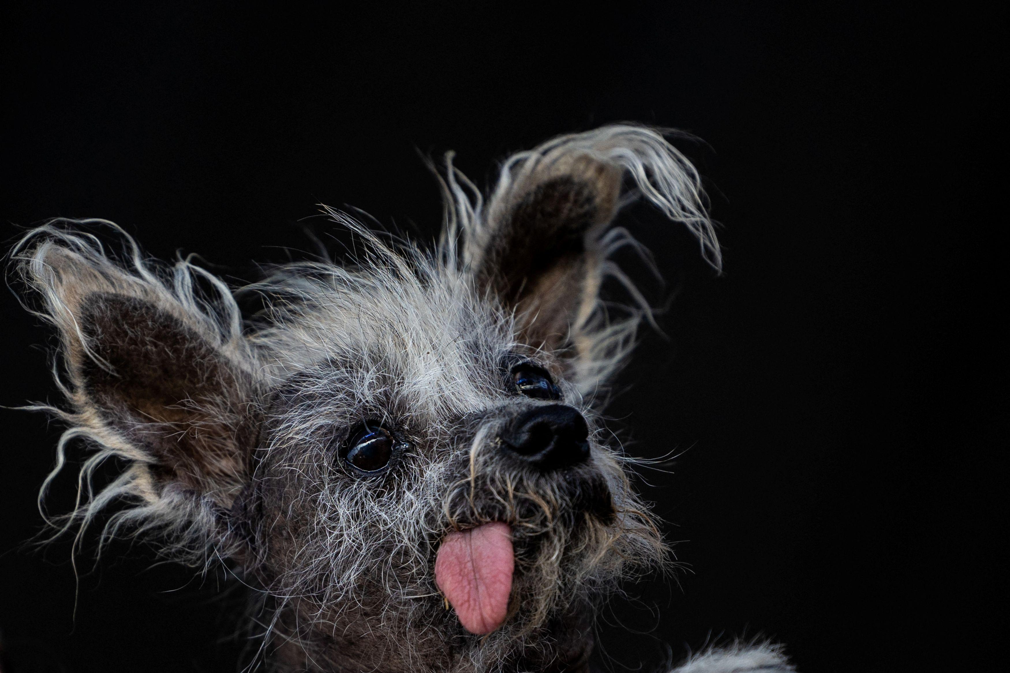 Personalidade que Transborda: Mais que uma Cara Bonita. - inspiração 2