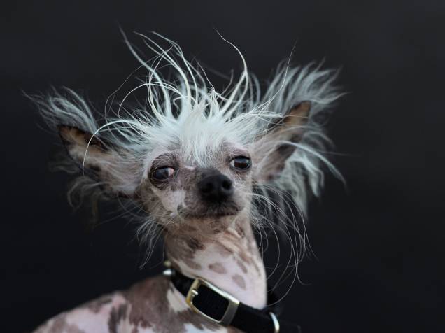 Histórias de Superação: Resgates que Inspiram. - inspiração 1