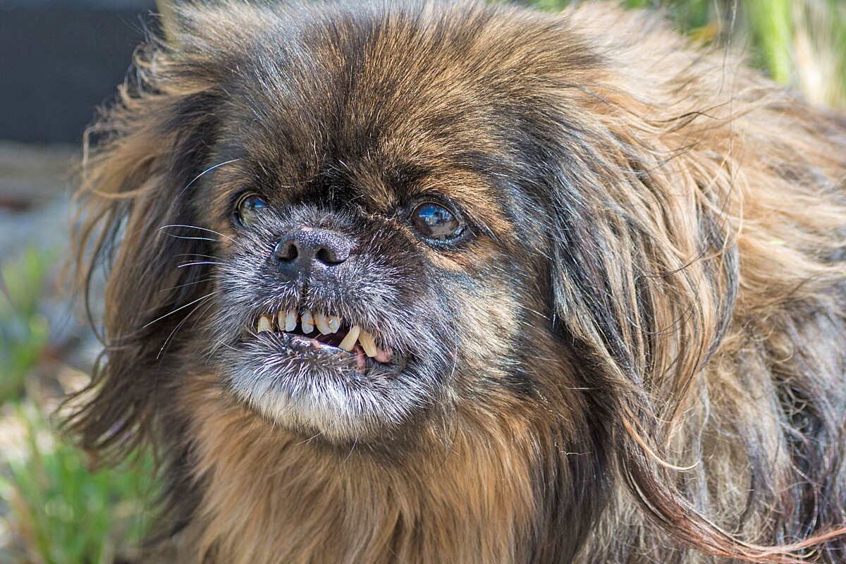 Histórias de Superação: Resgates que Inspiram. - inspiração 2