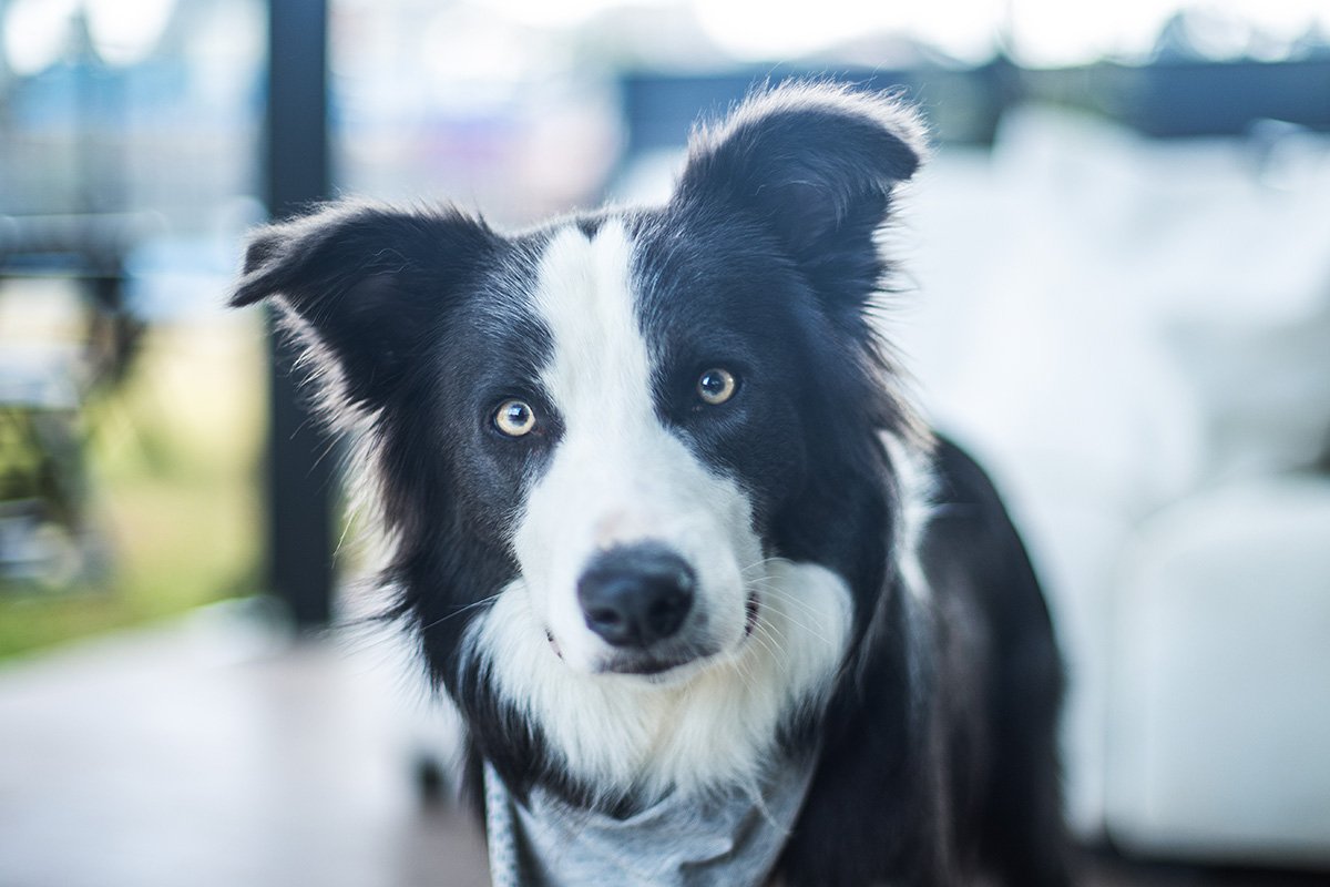 Como o Ambiente Influencia a Capacidade Cognitiva - inspiração 1