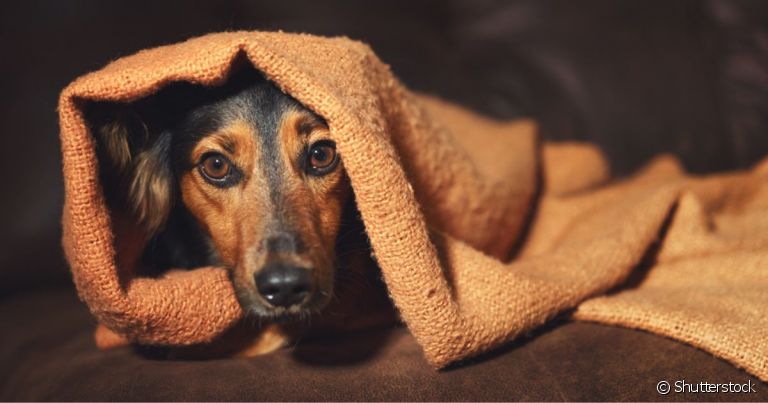 O Papel da Rotina e Previsibilidade - inspiração 1