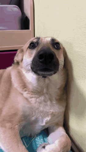 Como um Click Se Transforma em Viralização - inspiração 1