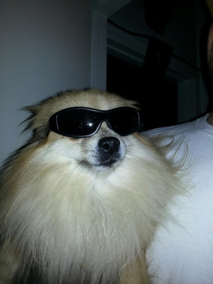 Como um Click Se Transforma em Viralização - inspiração 2