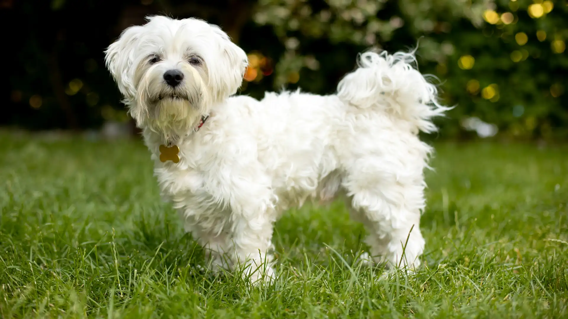 Cuidados com os Olhos e Orelhas: Atenção aos Detalhes - inspiração 1