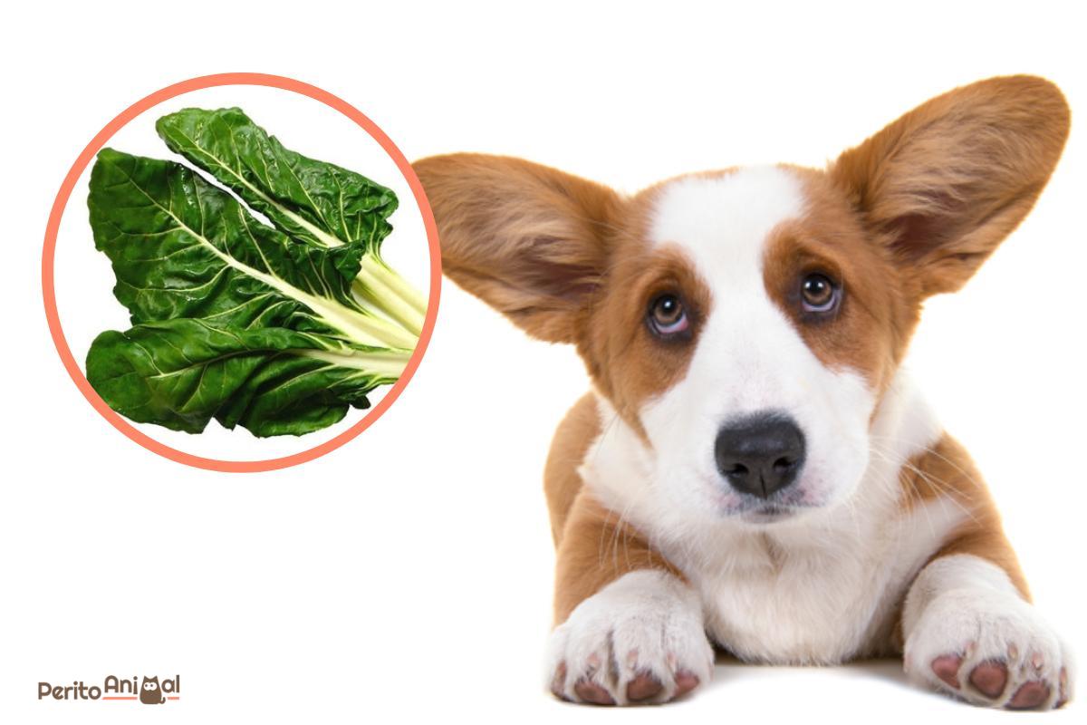 A quantidade ideal: como dosar sem exageros. - inspiração 2