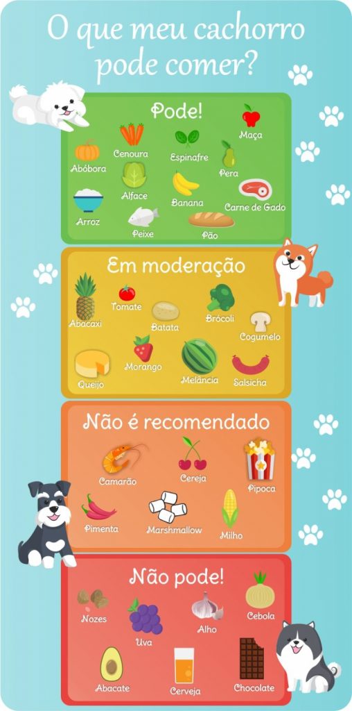 Sinais de que a alface não está caindo bem no seu cachorro. - inspiração 2