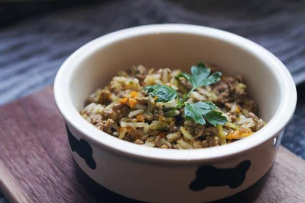 Quando consultar o veterinário sobre a dieta do seu cão? - inspiração 2