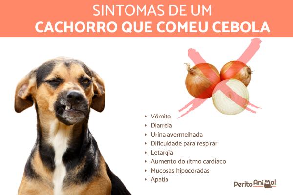 Tipos de Alho e Seus Riscos - inspiração 1