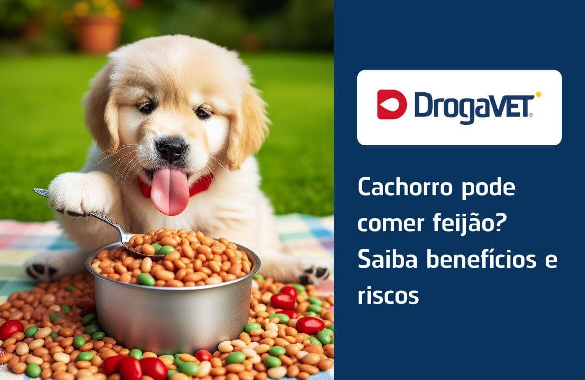 Arroz e Feijão na Rotina: Uma Conclusão Prudente para a Saúde do Pet - inspiração 2