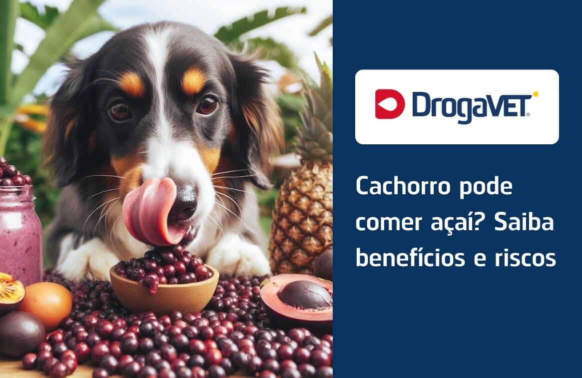 A Base de Açaí: Ingredientes Cruciais para Observar - inspiração 1